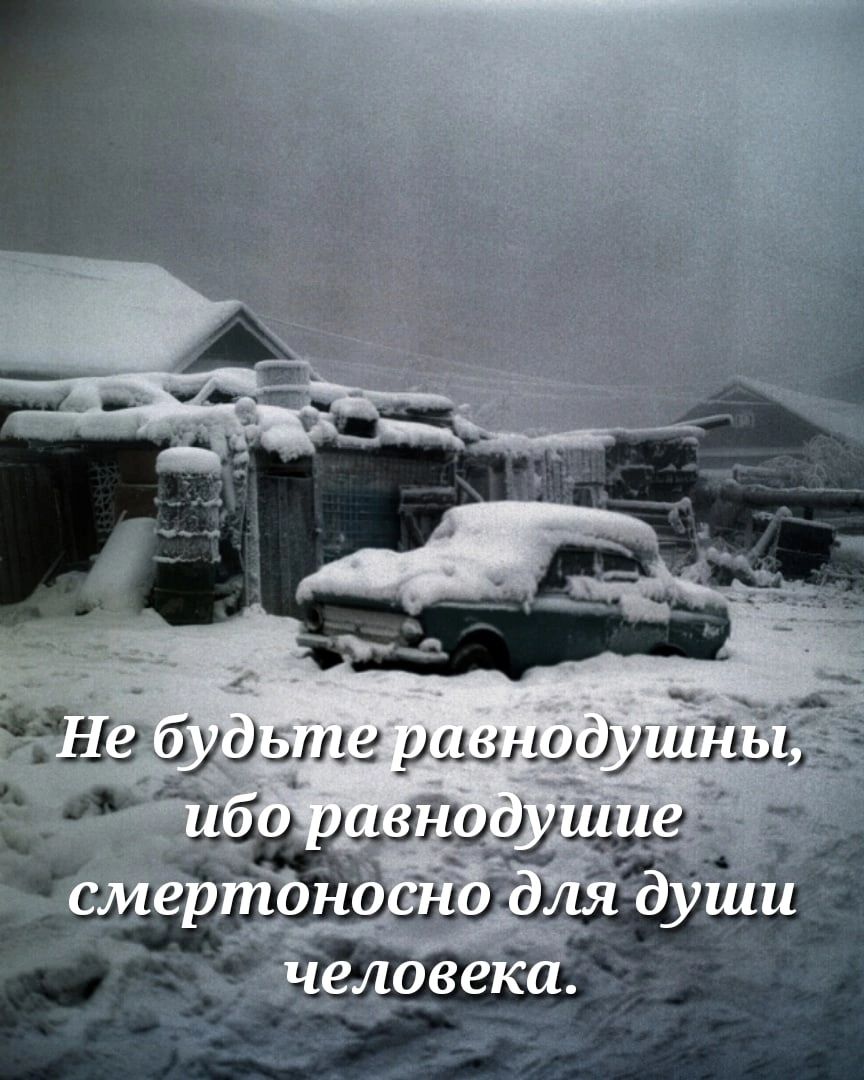 Ще буш шшнудушід 7
