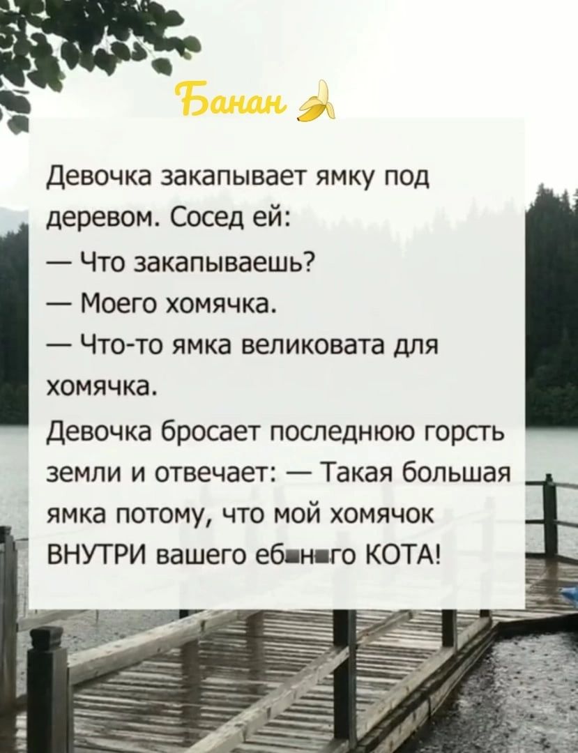 Девочка закапывает ямку под деревом Сосед ей Что закапываешь Моего хомячка Что то ямка вепиковата для хомячка Девочка бросает последнюю горсгь земли и отвечает Такая большая ямка потому что мой хомячок ВНУТРИ вашего ебли го КОТА