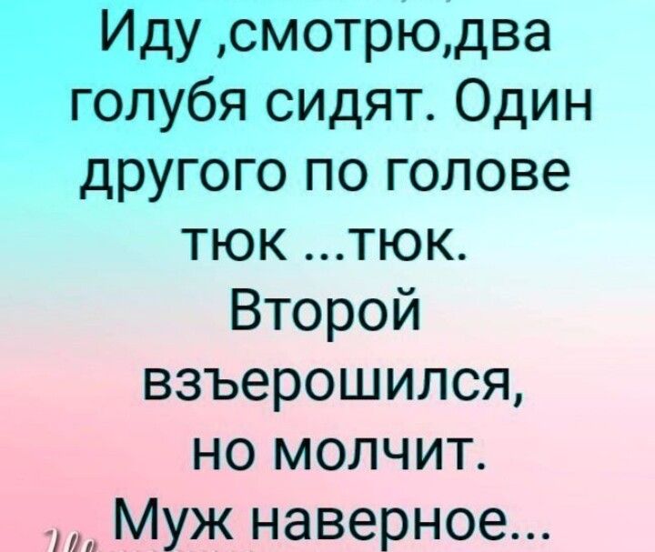 Иду смотрюдва голубя сидят Один другого по голове тюк тюк Второй взъерошился но молчит Муж наверное
