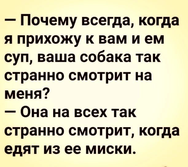 Почему всегда когда я прихожу к вам и ем суп ваша собака так странно смотрит на меня Она на всех так странно смотрит когда едят из ее миски