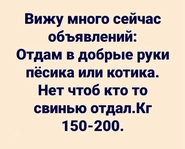 Вижу много сейчас объявлений Отдам в добрые руки пёсика или котика Нет чтоб кто то свинью отдапКг 1 50 200