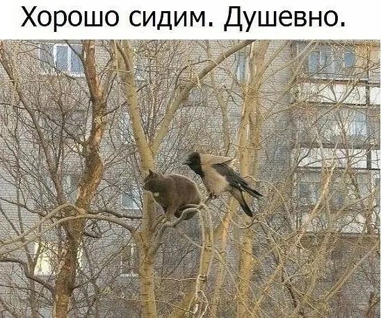 Хорошо сидим ЁЗ Ъ