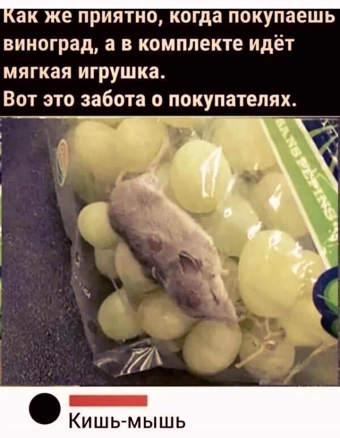 Как же ПРИЯТНО когда покупаешь виноград а в комплекте идёт мягкая игрушка Вот это забота о покупателях 4 _ ШЬМЫШЬ