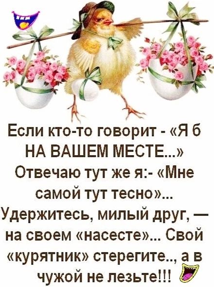 Если кто то говорит Я б НА ВАШЕМ МЕСТЕ Отвечаю тут же я Мне самой тут тесно Удержитесь милый друг на своем насесте Свой курятник стерегите а в чужой не лезьте