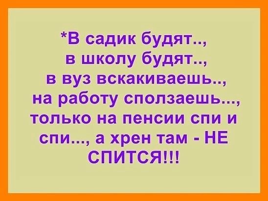 В садик будят в школу будят в вуз вскакиваешь на работу сползаешь только на пенсии спи и спи а хрен там НЕ СПИТСЯ