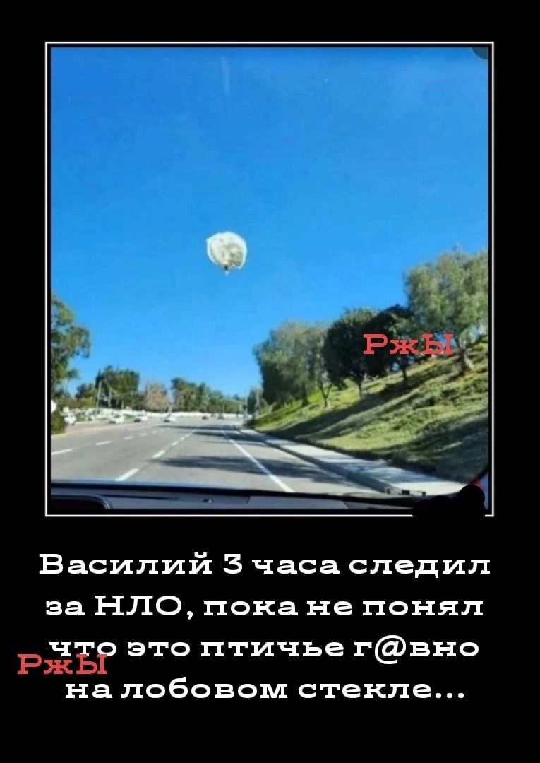 Василий 5 часа следил за НЛО пока не понял ч это птичье г вно Ёжъ на лобовом стекле