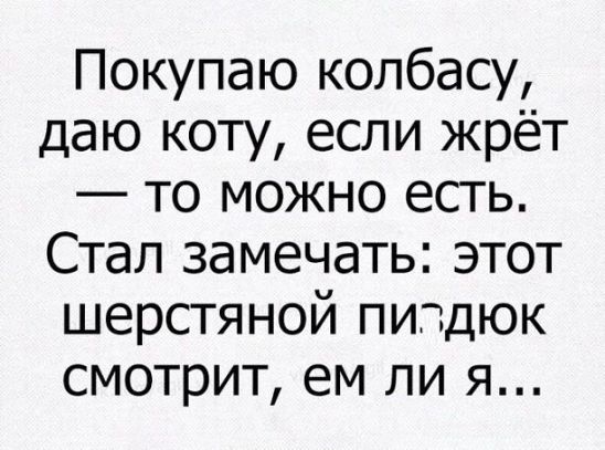Покупаю колбасу даю коту если жрёт то можно есть Стал замечать этот шерстяной пипдюк смотрит ем ли я
