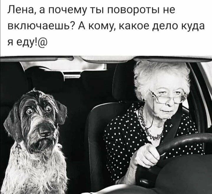 Лена а почему ты повороты не включаешь А кому какое дело куда я эду