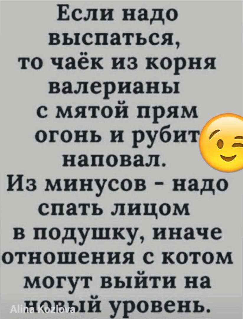 Если надо выспаться то чаёк из корня валерианы с мятой прям огонь и руби наповал Из минусов надо спать лицом в подушку иначе отношения с котом могут выйти на новый уровень