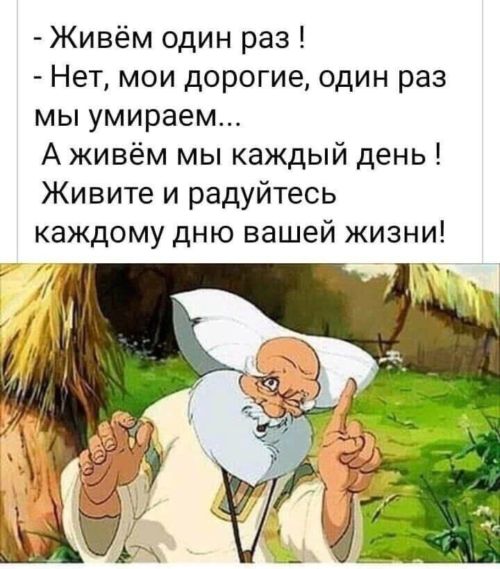 Живите любите и радуйтесь солнцу картинки