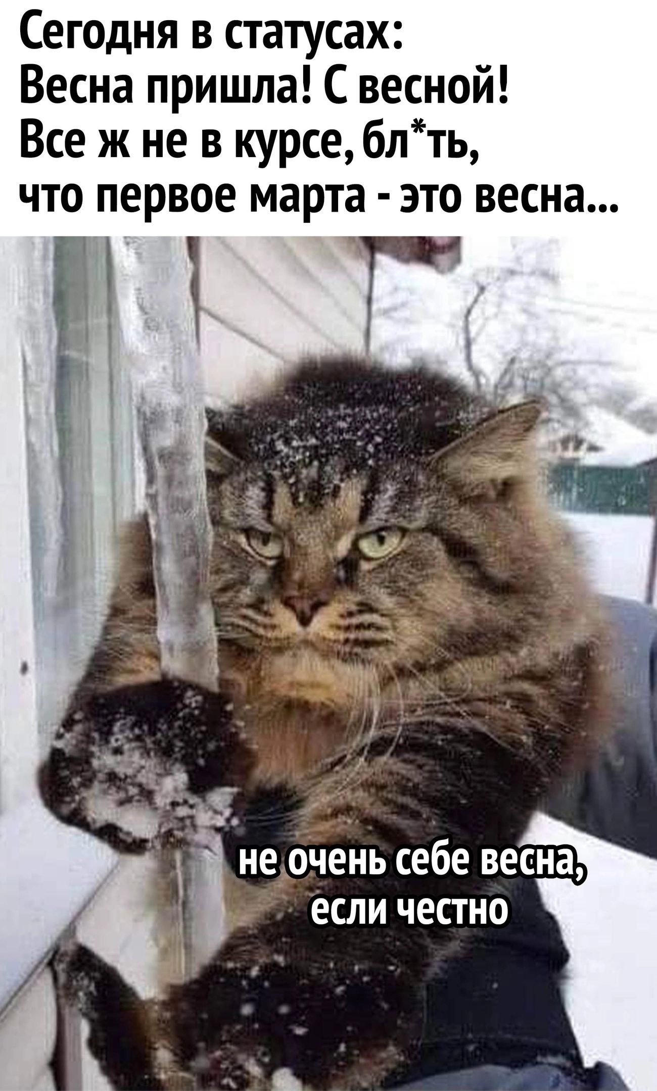 Сегодня в статусах Весна пришла С весной Все ж не в курсе блть что первое марта это весна не очень себе весна ЕСЛИ ЧЕСТНО