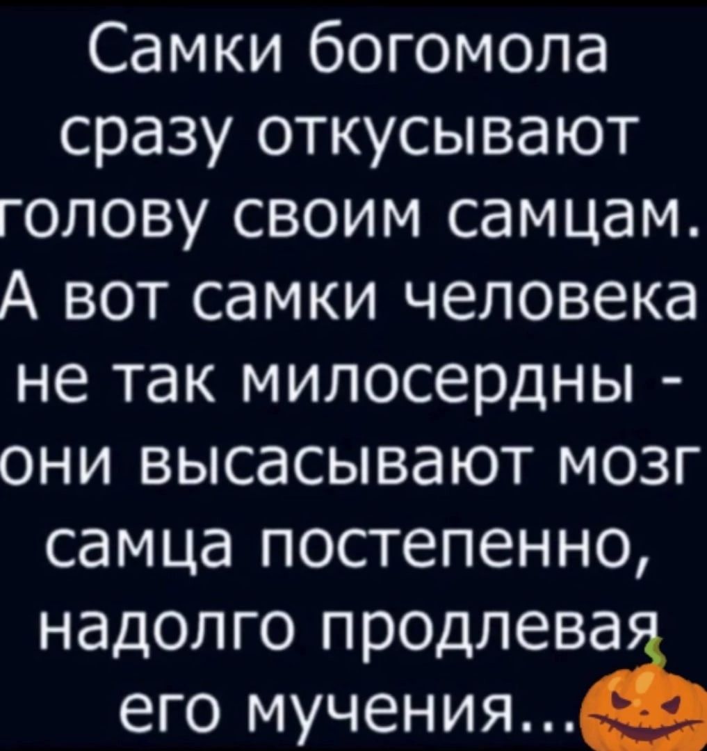 Самки богомола сразу откусывают голову своим самцам А вот самки человека не так милосердны они высасывают мозг самца постепенно надолго продлева его мучения