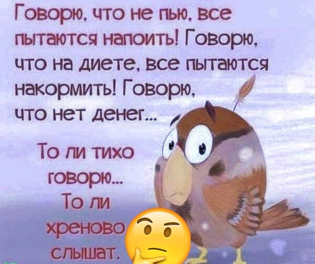 Говорю что не гью все питаются напоить Говорю что на диете все пытаются накормить Говорю что нет денег То ги тихо говорю То ги а