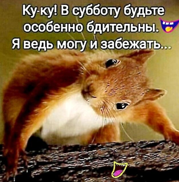 Ку ку В субботу будьте особеннб бдительны Я ведь могу и забежать