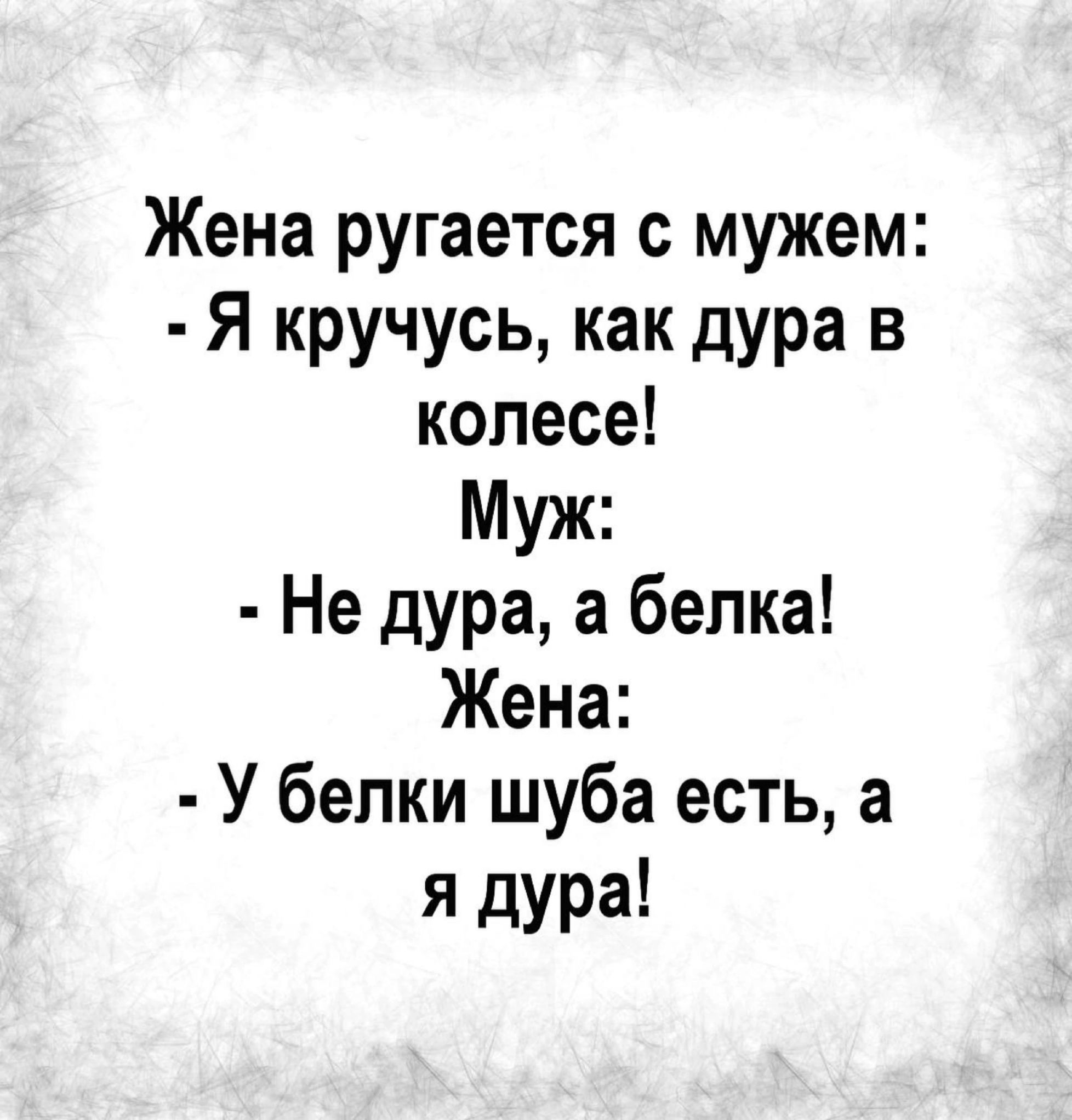 Жена ругается с мужем Я кручусь как дура в колесе Муж Не дура а белка Жена У белки шуба есть а я дура