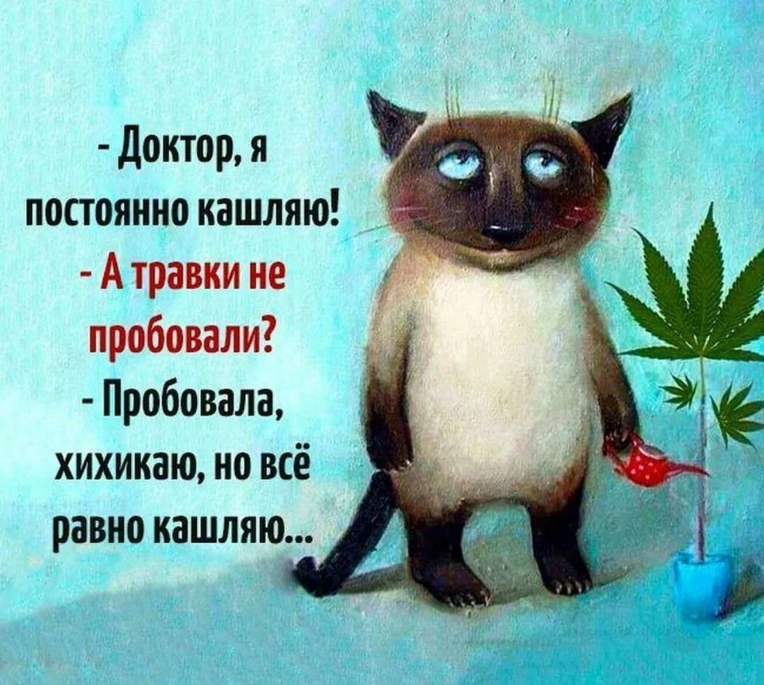 доктор я постоянно кашляю Атравки не пробовали Пробовала хихикаю но всё равно кашпяю