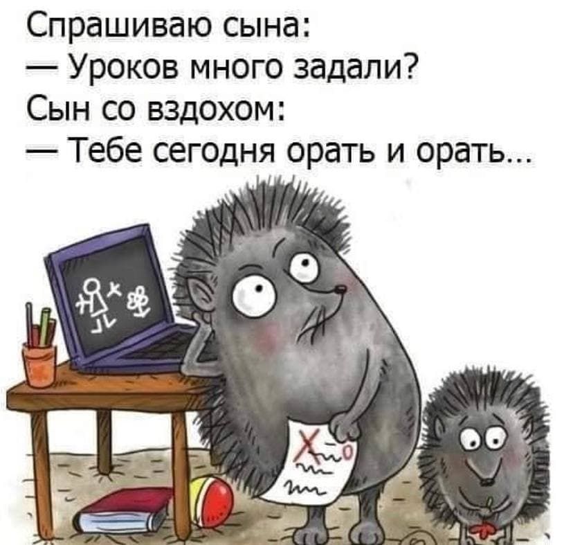 Спрашиваю сына Уроков много задали Сын со вздохом Тебе сегодня орать и орать