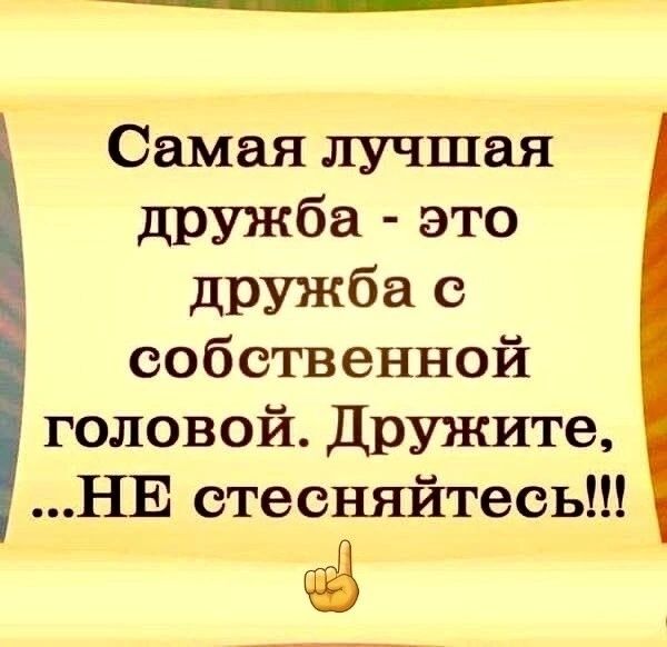 Самая лучшая дружба это дружба с собственной головой Дружите НЕ стесняйтесь