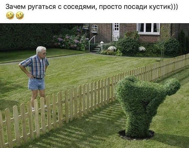 Зачем ругаться соседями прост посади кустик 1