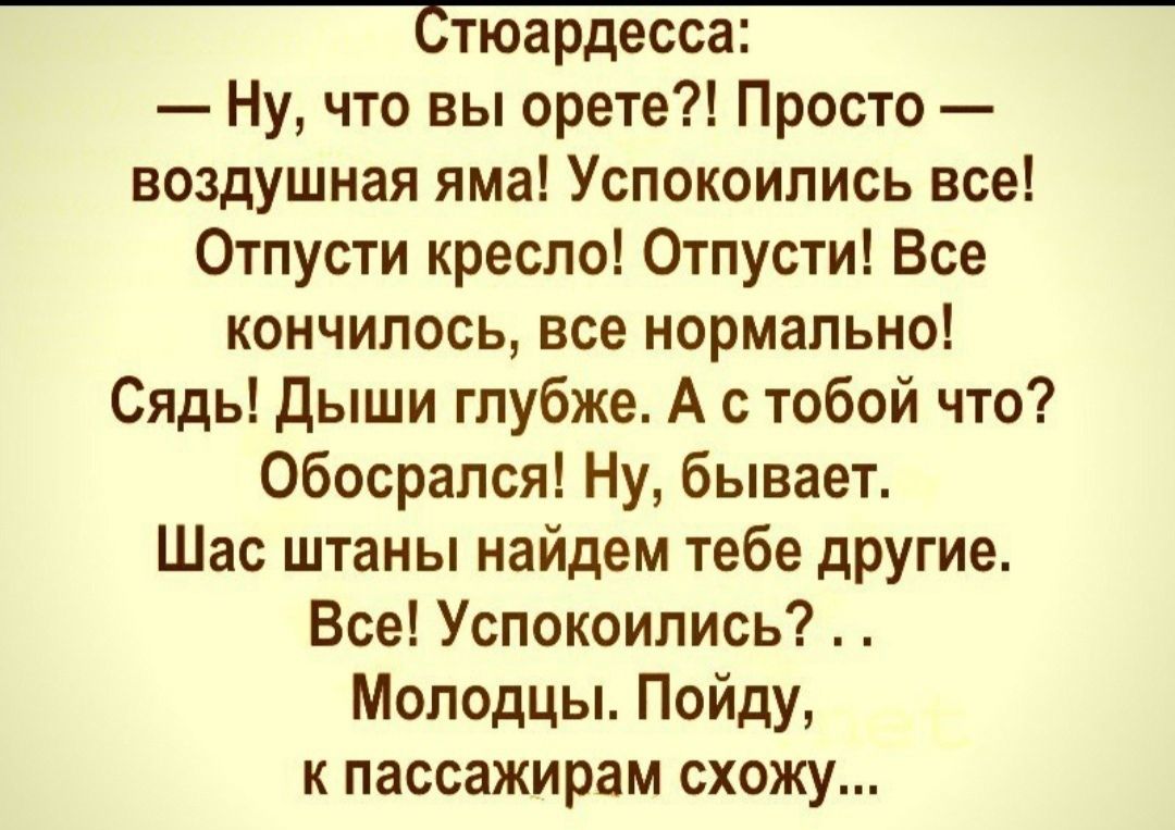 Стюардесса Ну что вы орете Просто воздушная яма Успокоипись все Отпусти кресло Отпусти Все кончилось все нормально Сядь дыши глубже А с тобой что обосрапся Ну бывает Шас штаны найдем тебе другие Все Успокоипись Молодцы Пойду к пассажирам схожу