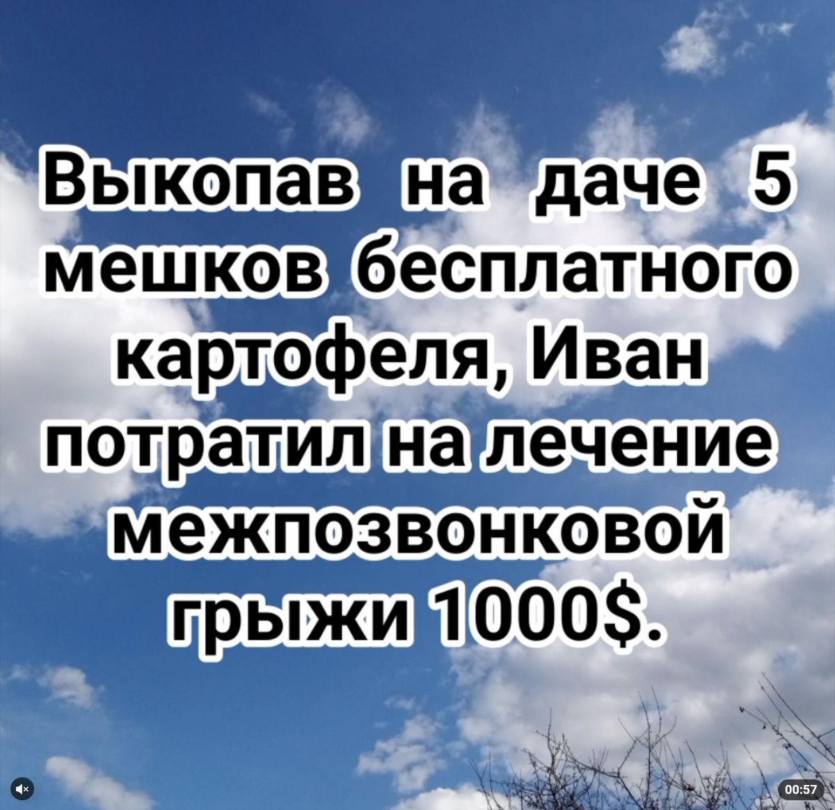 Выкопав на даче 5 мешков бесплатного картофеля Иван потратил на лечение межпозвонковой грыжи 1000