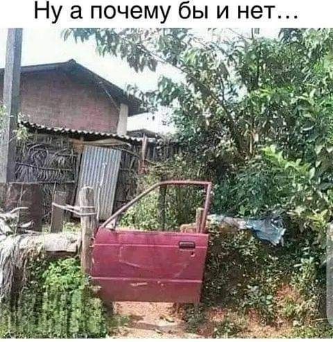 Ну а почему бы и нет