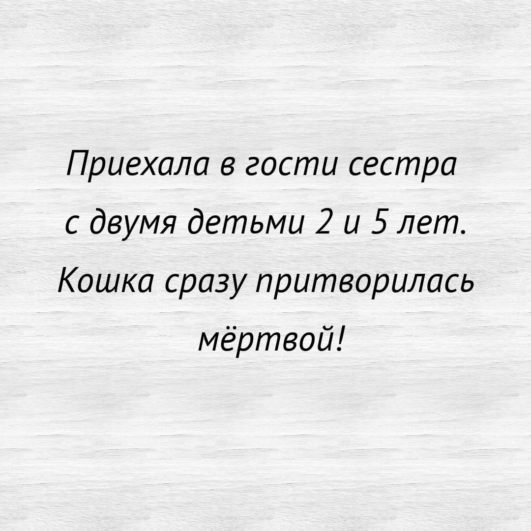 Приехала в гости сестра с двумя детьми 2 и 5 лет Кошка сразу притворились мёртвой