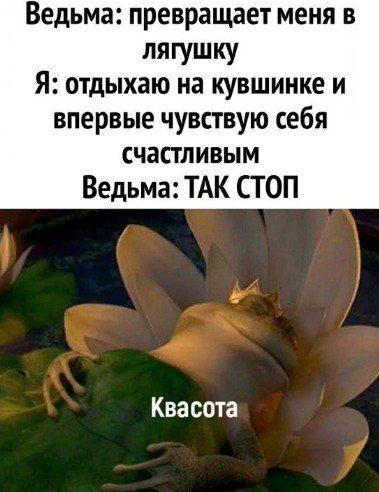 Ведьма превращает меня в лягушку Я отдыхаю на кувшинке и впервые чувствую себя счастливым Ведьма ТАК СТОП Ква сота