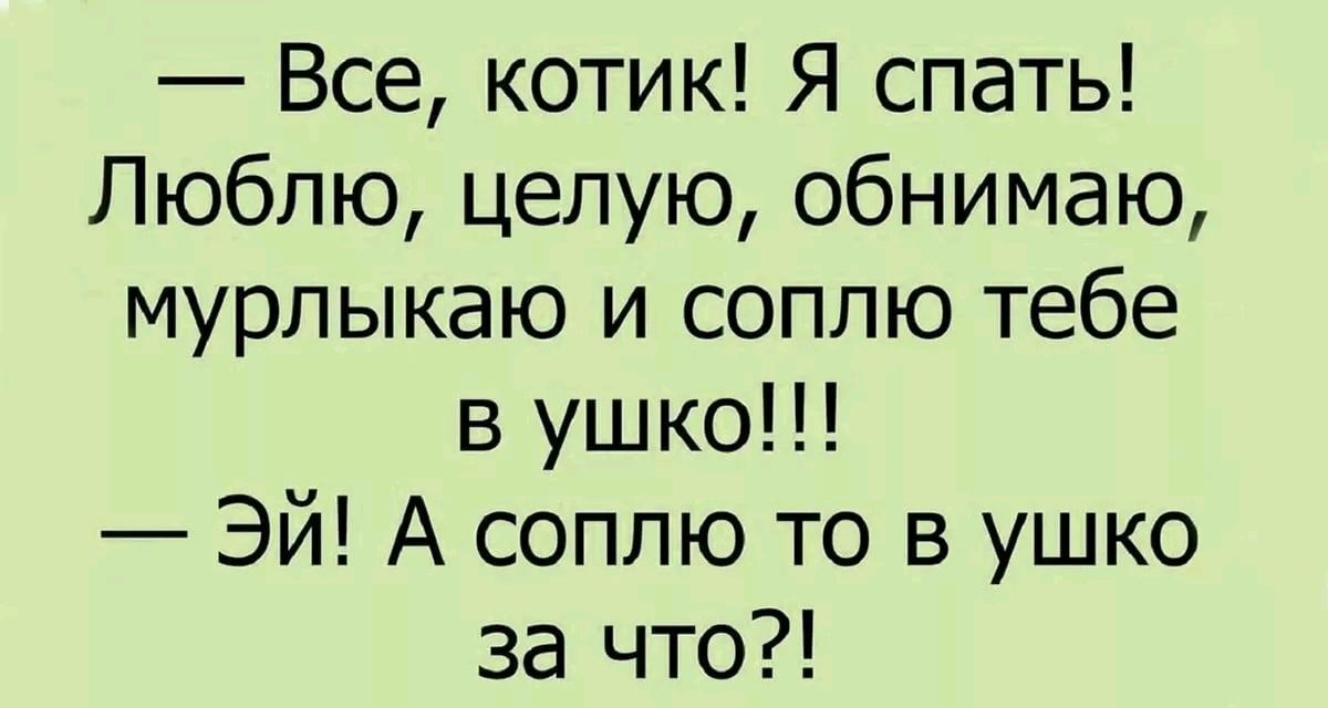 Все котик Я спать Люблю целую обнимаю мурлыкаю и соплю тебе в ушко Эй А соплю то в ушко за что