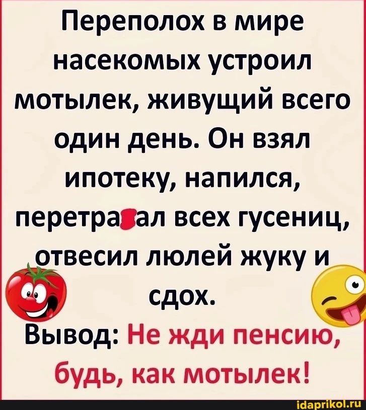 Переполох в мире насекомых устроил мотылек живущий всего один день Он взял ипотеку напился перетраал всех гусениц отвесил люлей жуку и сдох Вывод Не жди пенсию будь как мотылек