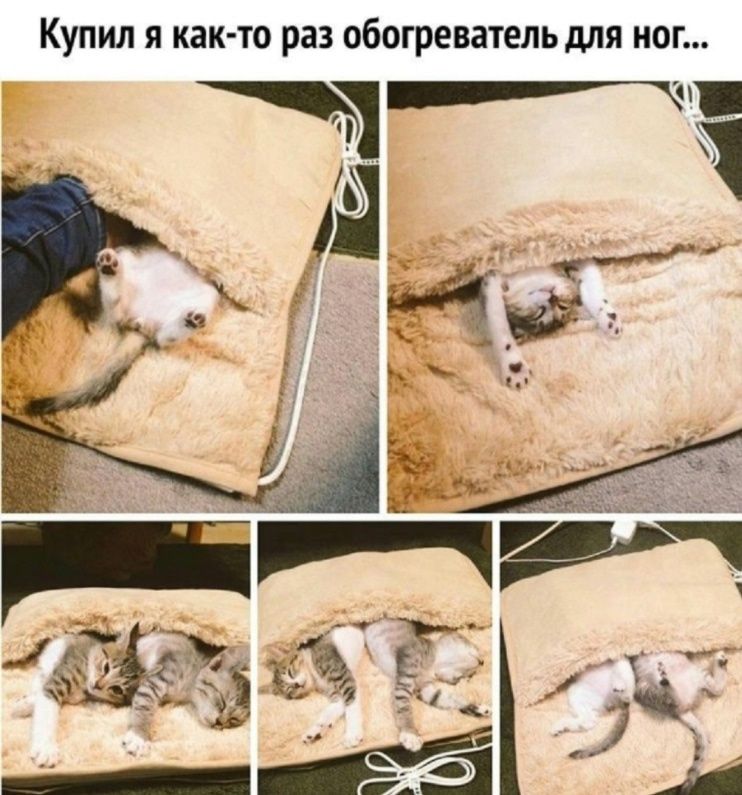 Купил я как то раз обогреватель для ног