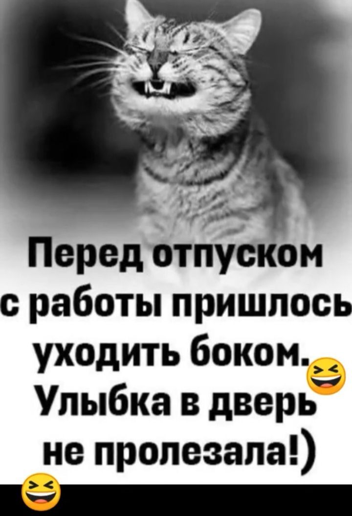 Перед отпуЪком работы пришлое уходить бекона Улыбка в дверь не пропезапа