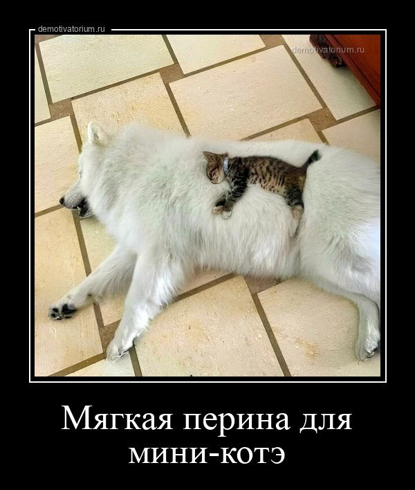 Мягкая перина для МИНИ КОТЭ