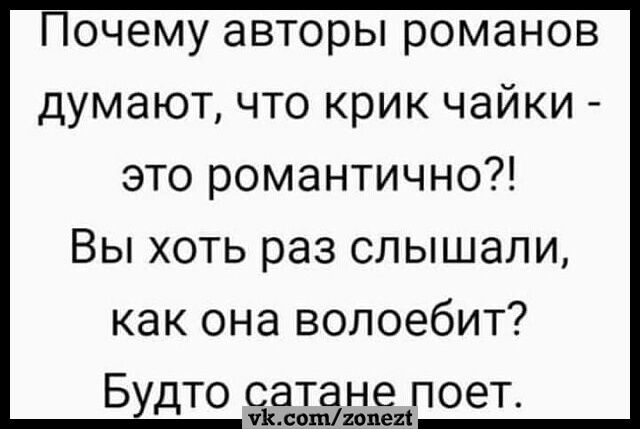 Почему авторы романов думают что крик чайки это романтично Вы хоть раз слышали как она волоебит Будто Эдна5 поет