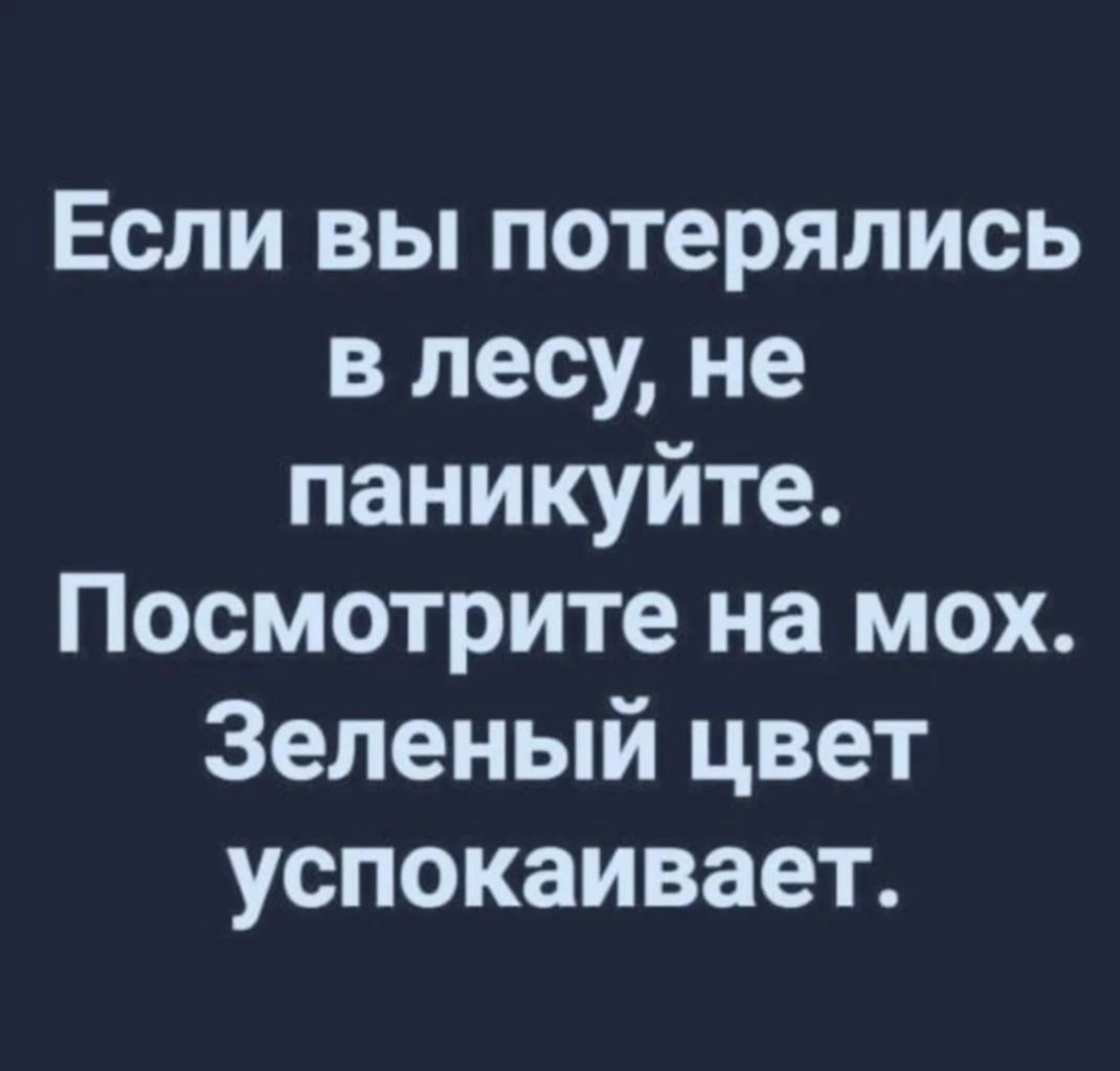Если вы потерялись в лесу не паникуйте Посмотрите на мох Зеленый цвет успокаивает