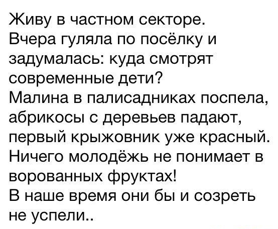 Живу в частном секторе Вчера гуляла по посёлку и задумалась куда смотрят современные дети Малина в палисадниках поспела абрикосы деревьев падают первый крыжовник уже красный Ничего молодёжь не понимает в ворованных фруктах В наше время они бы и созреть не успели