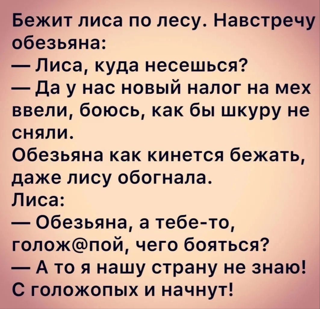 Бежит лиса по лесу Навстречу обезьяна Лиса куда несешься да у нас новый налог на мех ввели боюсь как бы шкуру не сняли Обезьяна как кинется бежать даже пису обогнала Лиса Обезьяна а тебе то гопожпой чего бояться А то я нашу страну не знаю С голожопых и начнут
