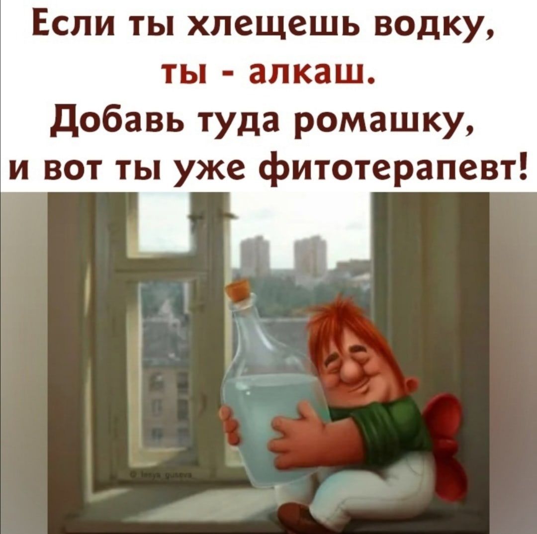 Если ты хлещешь водку ты алкаш добавь туда ромашку и вот ты уже фитотерапевт