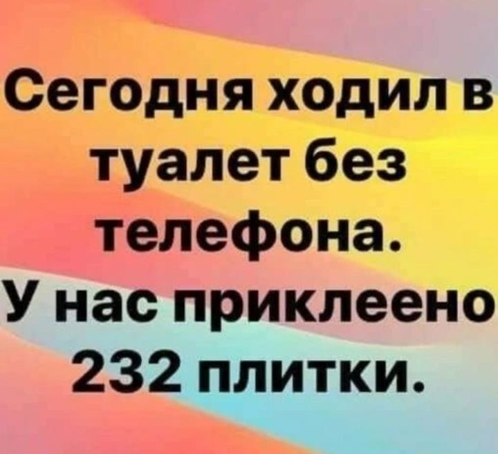 Сегодня ходил в туалет без телефона У нас приклеено 232 плитки