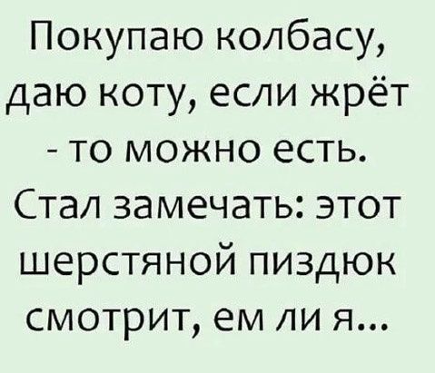 Покупаю колбасу даю ноту если жрёт то можно есть Стал замечать этот шерстяной пиздюк смотрит ем ли я