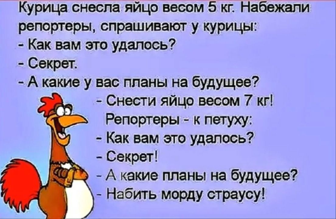 Курица снесла яйцо весом 5 кг Набежапи репортеры спрашивают у курицы Как вам это удалось Секрет А какие у вас планы на будущее Снести яйца нет 7 кгі Репитеры к пегуху Как вам его удалось Секрет А какие планы на будущее Набить морду страусу