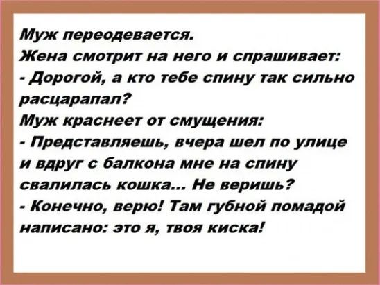 Муж перводевгегсл Жена смотрит на лет и слрашилвет Дорогой т Тебе спину нк сильно расцарапдл Муж красива пт смущения Предсндллвшь шир шел по улице и вдруг с балкона мне на спину пвалилась кошка Нв веришь Конечно верю Там губной помпой иалисгно это и пол киска