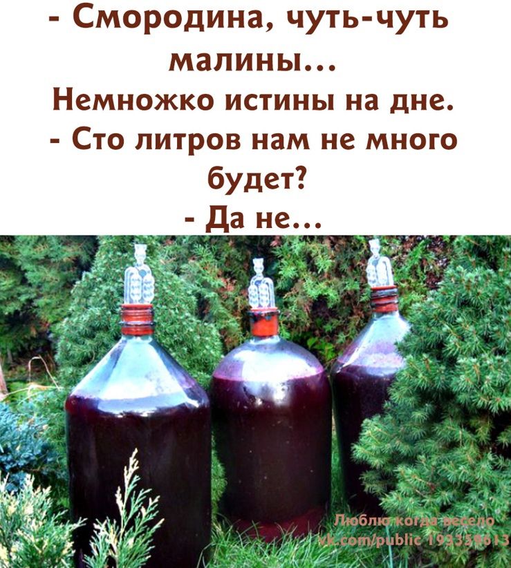 Смородина чуть чуть малины Немножко истины на дне Сто литров нам не много будет Пгіти ли Йижм