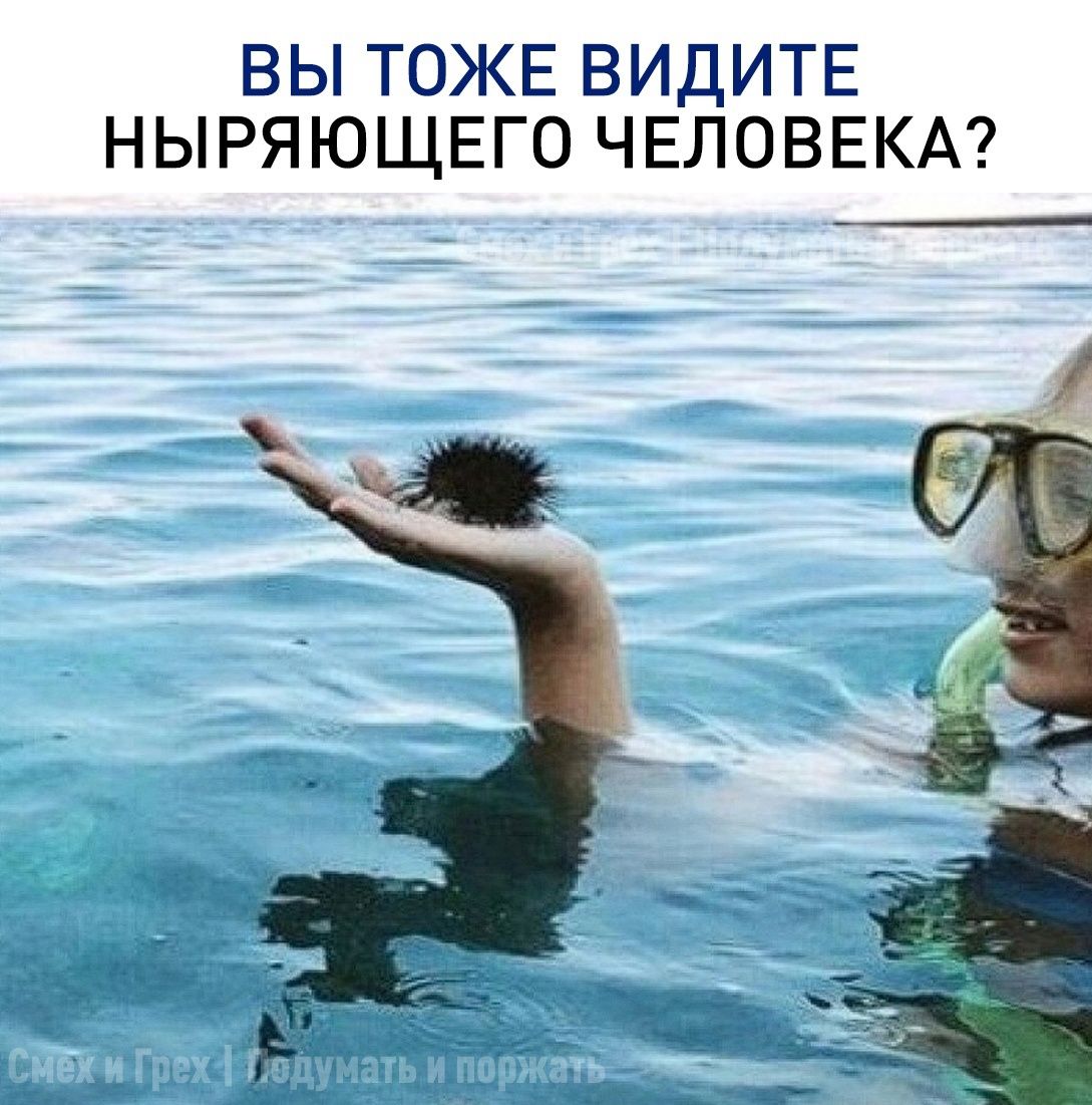 ВЫ ТОЖЕ ВИДИТЕ НЫРЯЮЩЕГО ЧЕЛОВЕКА