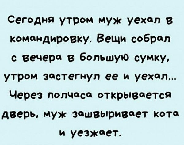 Сегодня утром муж уехал в Командировки Вещи собрал вечера в Большую сумку утром застегнуп ее и уехал Через полчаса открываеТся дверь муж зпшвыривпет кота и уезжает
