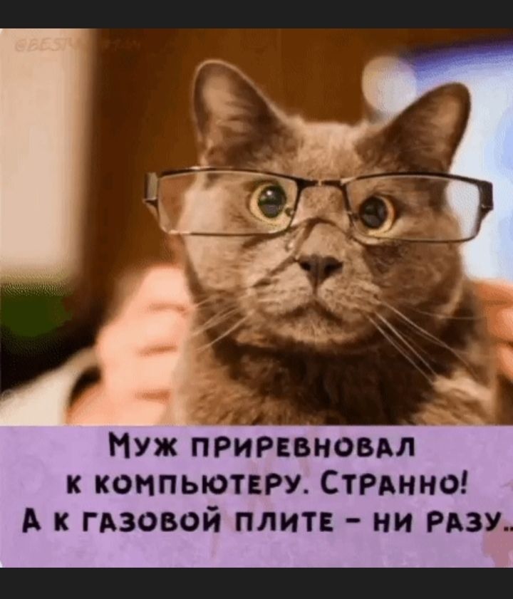 Нуж ПРИРЕВНОБАЛ к компьютеру СТРАННО А к гьзовой плит ни РАЗУ