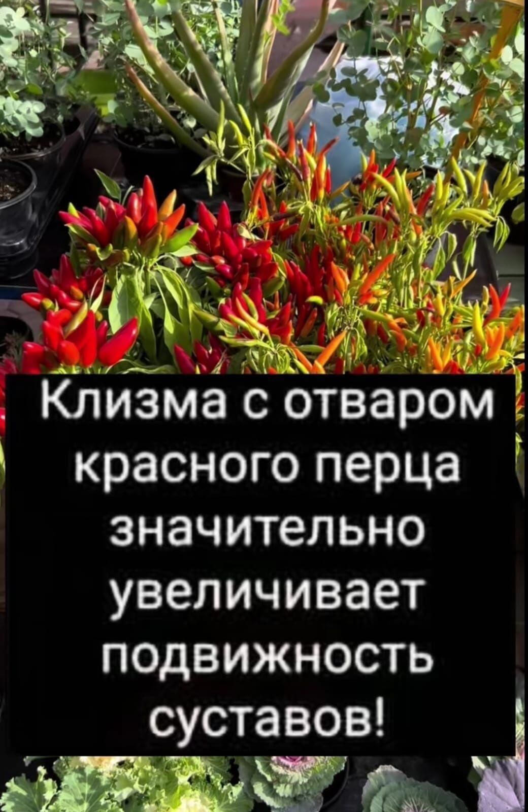 Кйитзмаісдтваром красного перца значительно увеличивает ПОДВИЖНОСТЬ суставов ЫЁЁЁЧ а