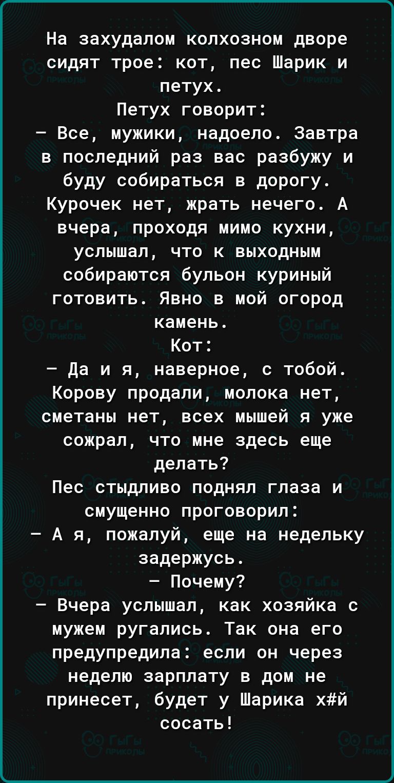 На захудалом колхозном дворе сидят трое кот пес Шарик и петух Петух говорит  Все мужики надоело Завтра в последний раз вас разбужу и буду собираться в  дорогу Курочек нет жрать нечего А