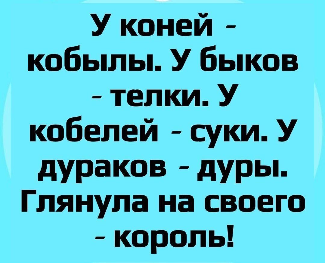 У коней кобылы У быков телки У кобелей суки У дураков дуры Глянупа на своего король