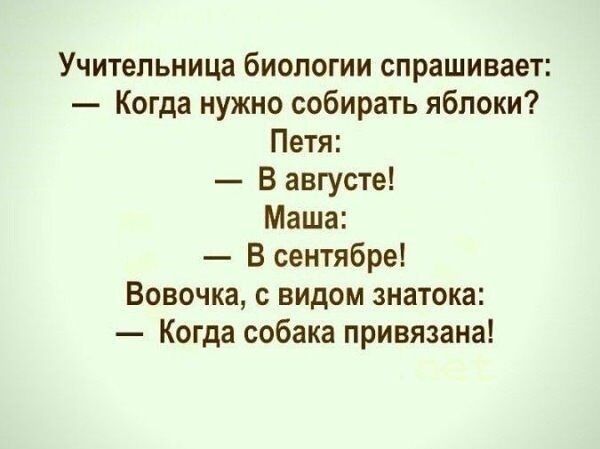Учительница биологии спрашивает Когда нужно собирать яблоки Петя В августе Маша В сентябре Вовочка с видом знатока Когда собака привязана